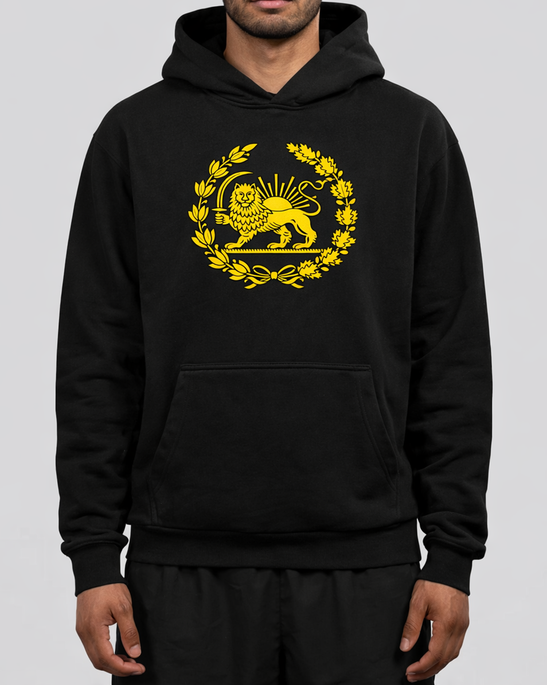 Shir o Khorshid - Hafez Heavy Hoodie