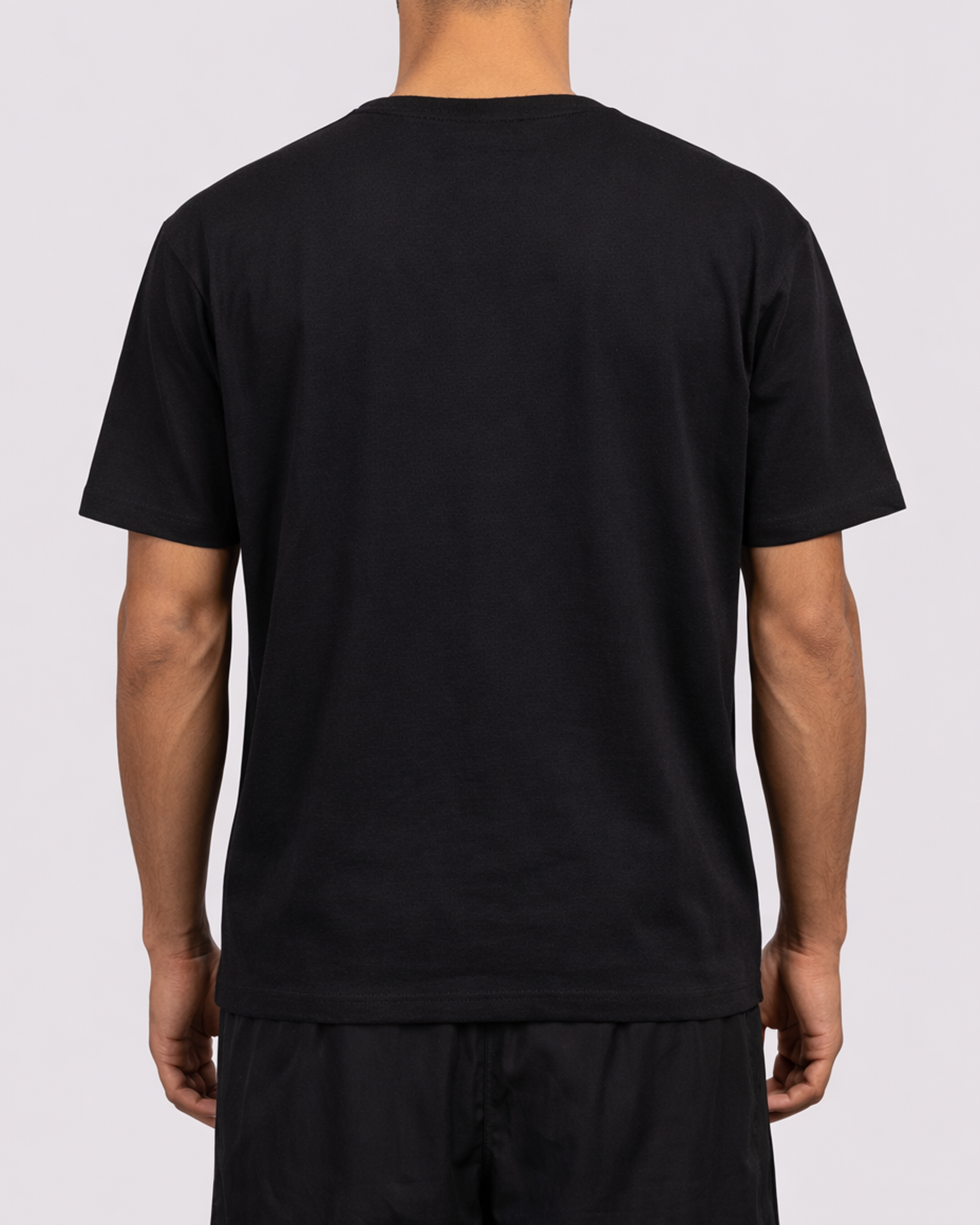 Shir o Khorshid - Hafez Tee