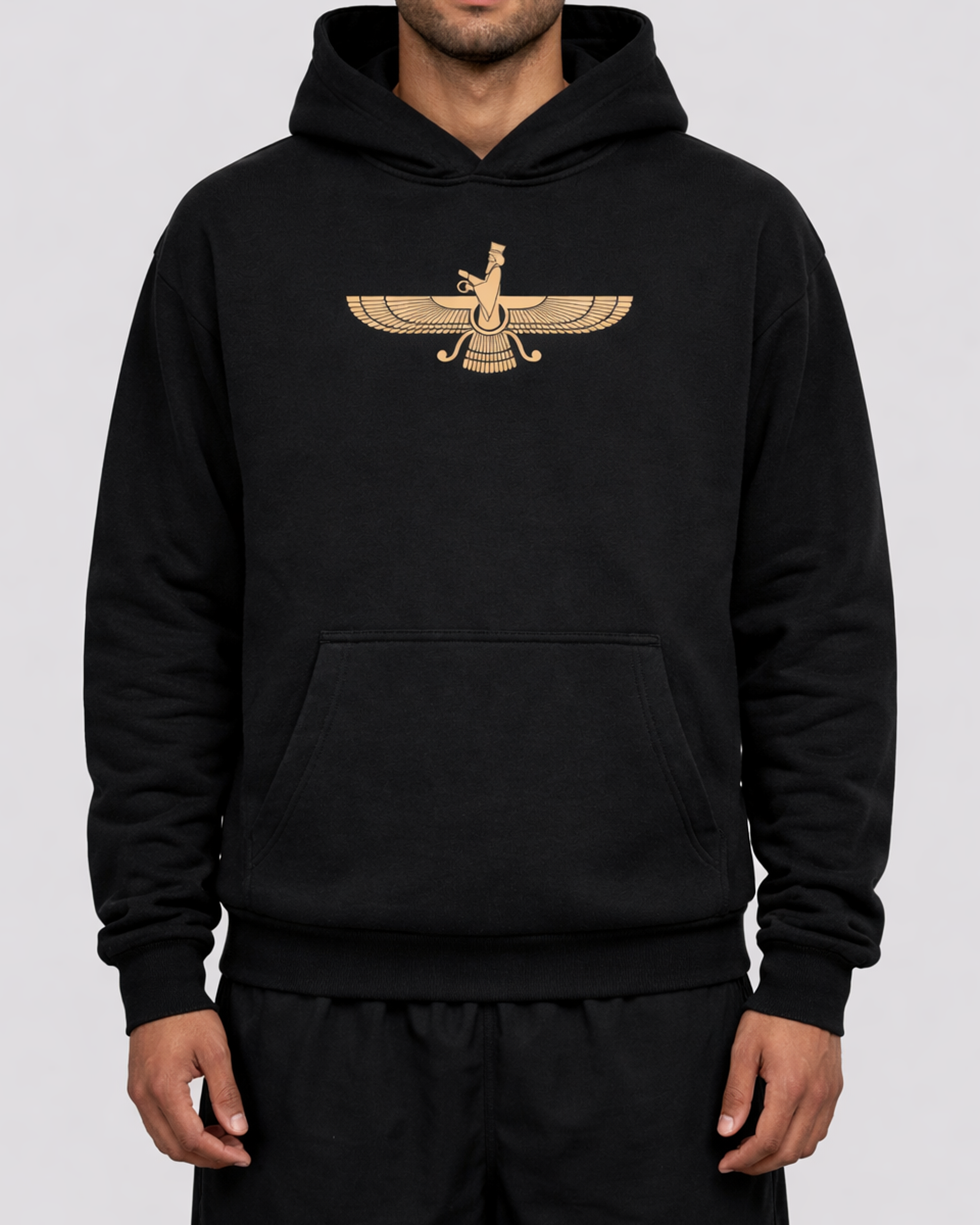 Farvahar - Hafez Heavy Hoodie